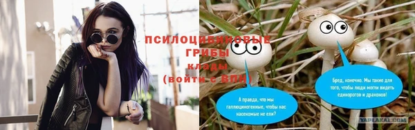 спайс Лабытнанги