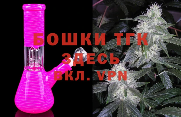 твердый Ладушкин
