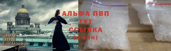 твердый Ладушкин