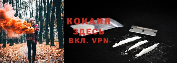 тгк Лагань