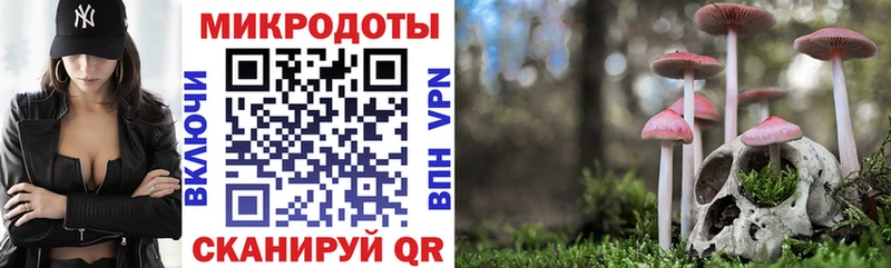 Галлюциногенные грибы мицелий  Купить где  Полярный 